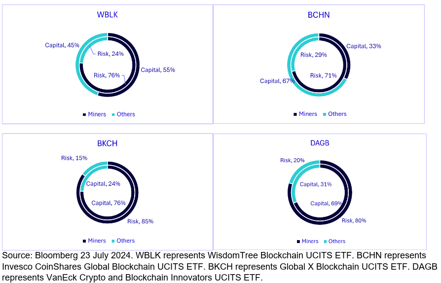 Figure 2: Capital allocation (outer) and risk allocation (inner) to digital asset miners