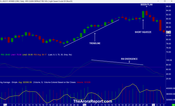 Biggest Oil Drop In A Year On Biden Security Plan, Magnificent 7 Stocks Do Not Like The New Data