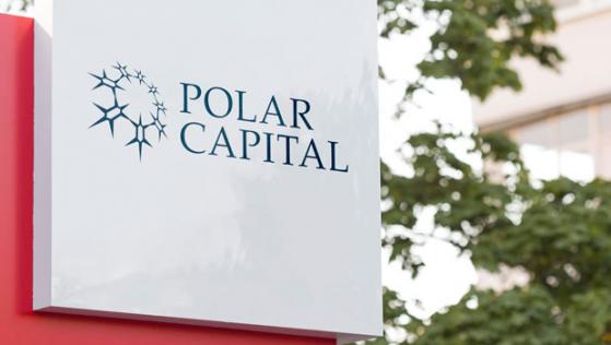 Polar Capital maintains dividend as earnings fall