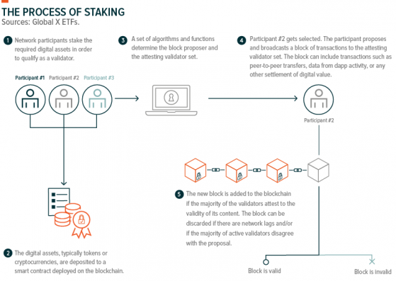 Staking, Consensus, And Economic Incentives