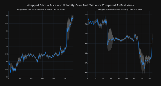 Wrapped Bitcoin Up More Than 4% In 24 hours