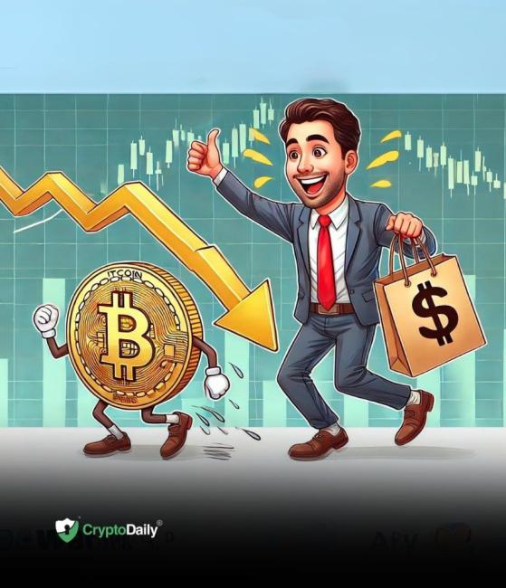 Bitcoin (BTC) dips again - another buying opportunity?