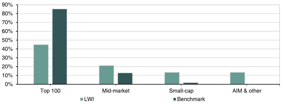 LWI portfolio by market cap