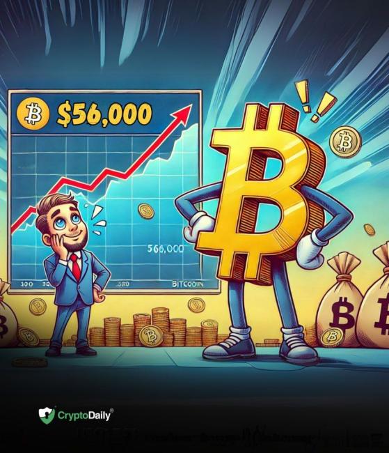 Bitcoin (BTC) recovers to $56,000 - is the crash over?