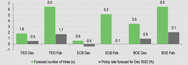 Policy Rate Expectations